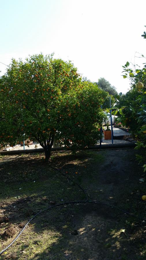 Asbn Magic Garden Βίλα Άκρα Εξωτερικό φωτογραφία