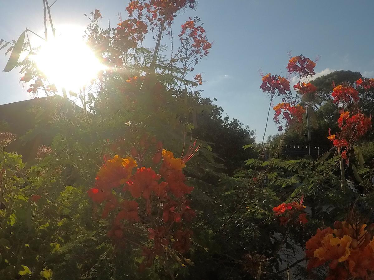 Asbn Magic Garden Βίλα Άκρα Εξωτερικό φωτογραφία