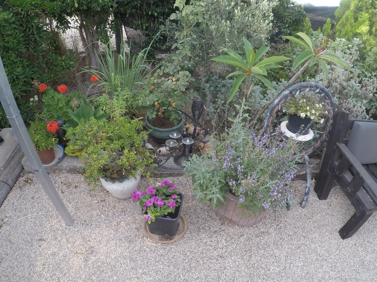 Asbn Magic Garden Βίλα Άκρα Εξωτερικό φωτογραφία